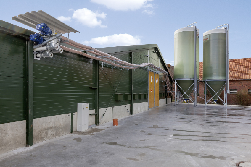 FlexVey PUR - feed delivery system from Big Dutchman