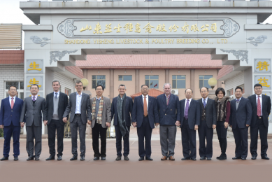 Yisheng and Hubbard sign breeding stock agreement. Photo: Hubbard.
