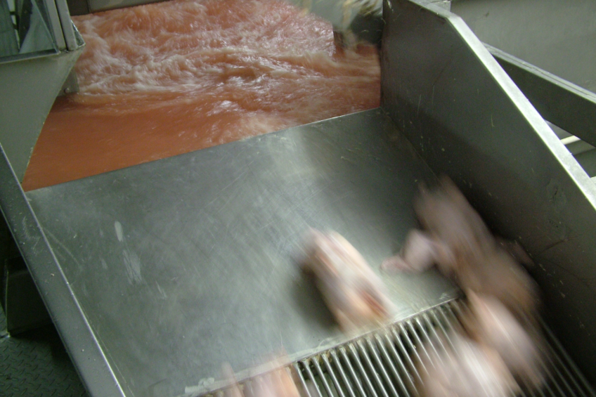 Saving water in ( the processing plant