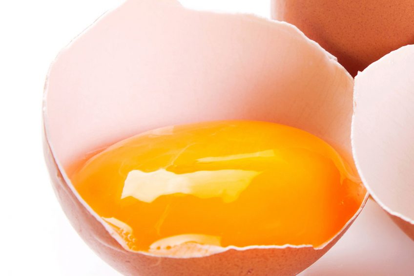 Photo: Shutterstock