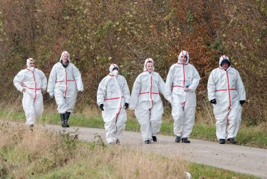 Avian influenza difficult to deal with. Photo: ANP - Daniel Bockwoldt