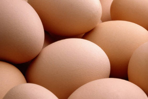 Researchers evaluate shell egg sanitization practices