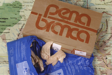 China discovers Brazil. Photo: Reed Business