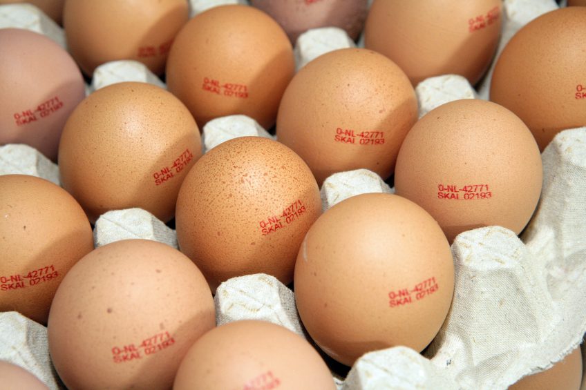 Profits slip at Noble Foods. Photo: Henk Riswick
