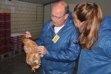 The medullary bone is the calcium reservoir of the bird and forms shortly before the egg production starts.