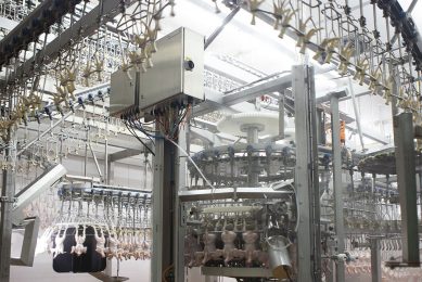 15,000 bph processing   keep control and think fast. Photo: Marel