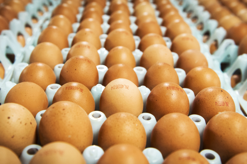 Cal-Maine launches joint venture with Texan egg producer