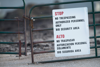 US AI outbreak made worse by poor farm auditing