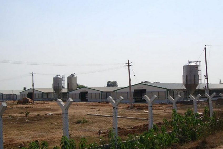 Photo: Agrotop