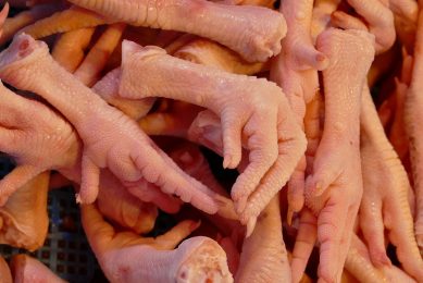 Kenyan poultry production is threatened by illegal imports. Photo: Falco