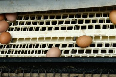 Photo: Frank Uijlenbroek