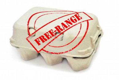US welfare org revises Free Range standards