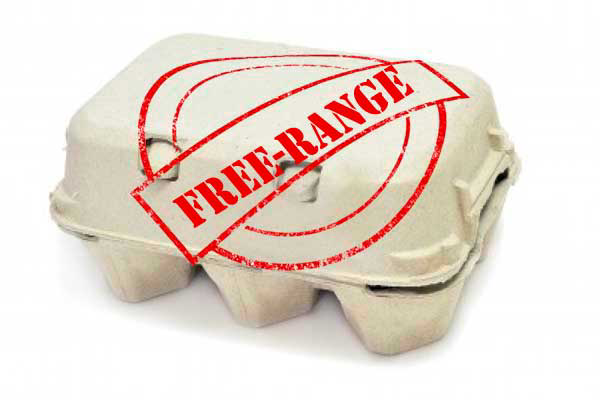 US welfare org revises Free Range standards