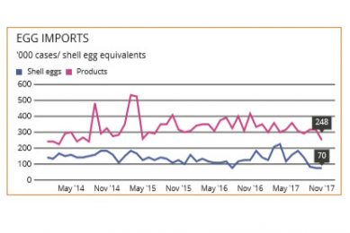 Markets: UK laying flock approaches 40 million layers