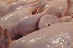 EFSA: EU human campylobacter and listeria cases rising