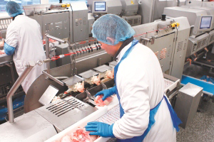 By developing a new auto loader module the designers of Stork shift ability and intelligence from human to the machine. Adding pre-shaped loading units to the machine the operator just has to slide the breast caps into them, without any exact placement.