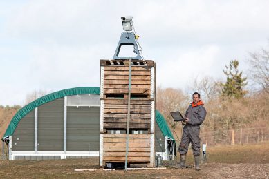 One of the first farms to use lasers to scare wild birds was based in the UK, but the method was quickly introduced in the Netherlands too. Photo: Chris McCullough