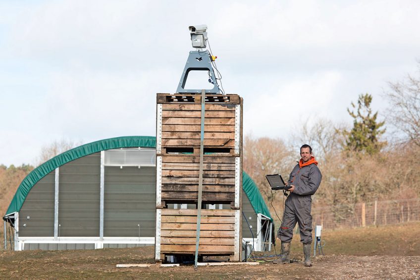 One of the first farms to use lasers to scare wild birds was based in the UK, but the method was quickly introduced in the Netherlands too. Photo: Chris McCullough