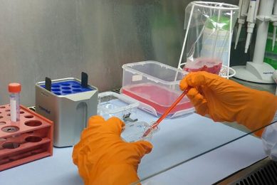 Figures from the CDC showed that there has been one death and 151 people taken to hospital related to Salmonela infection. Photo: FLI