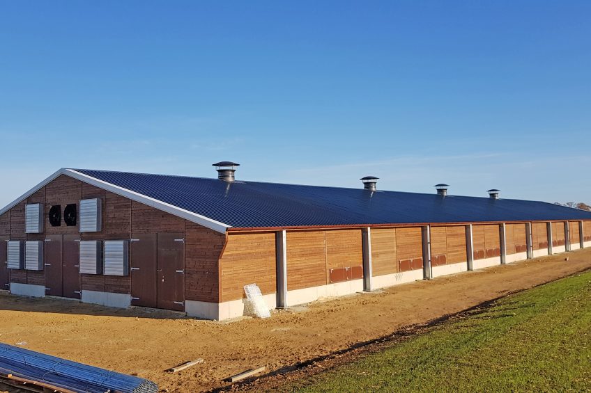Poultry production - through equipment manufacturers' eyes. Photo: Harlow