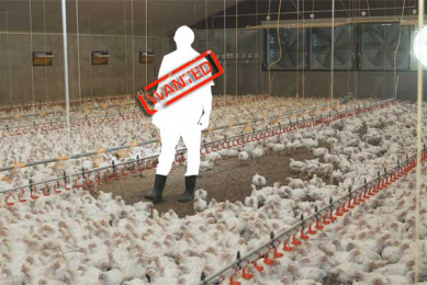 Dwindling supply of poultry farm managers