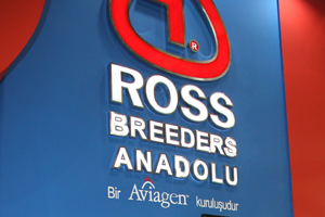 Ross Breeders Anadolu steps up production