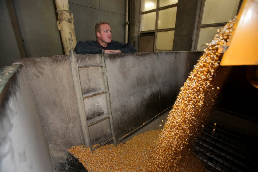 EU must help to protect the food chain. Photo: Henk Riswick