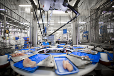 Handling, preparation and consumption of broiler meat accounts for 20% to 30% of human disease from Campylobacter contamination