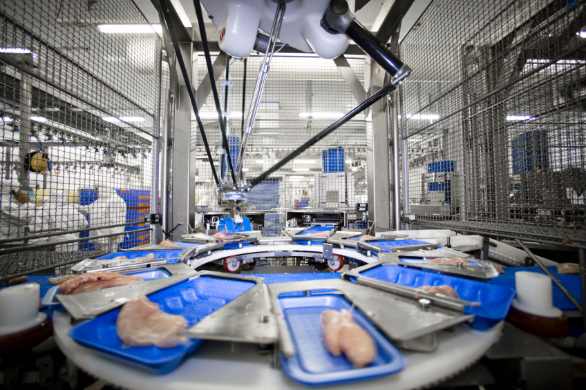 Handling, preparation and consumption of broiler meat accounts for 20% to 30% of human disease from Campylobacter contamination