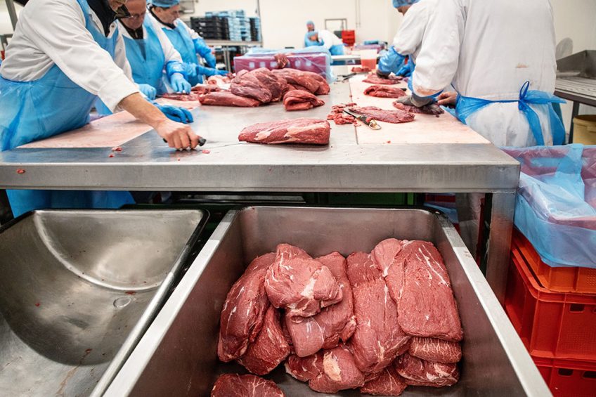 For the first time in history, Argentinian consumption of poultry meat reaches the same level as beef. Photo: Herbert Wiggerman