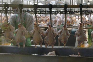 Photo: EPA/Narong Sangnak