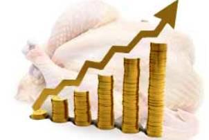 Ukraine poultry giant reports strong Q1 results