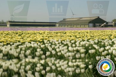 Photo: Aviagen