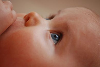 Tissue fusion errors are a relatively common form of birth defects but the genetic causes remain unknown for the majority of patients. Photo: Canva