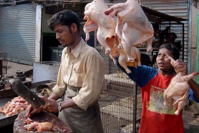 Some chicken shop owners with more than three outlets have closed two, saying it has become difficult to pay employees' salaries. Photo: ANP, Manjunath Kiran