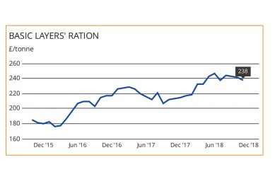 MARKETS: Feed cost falls back