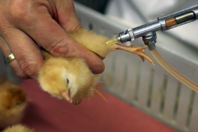 Vaccine atomisation promising for influenza immunisation. Photo: Marco Vellinga
