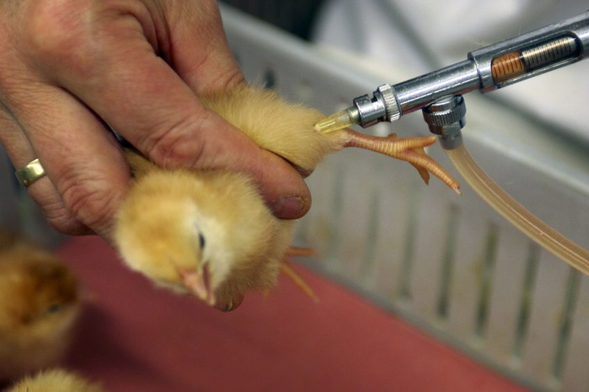 Vaccine atomisation promising for influenza immunisation. Photo: Marco Vellinga