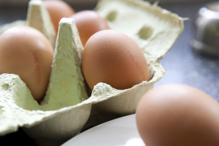 75% of EU egg production is concentrated in 7 countries. Photo: Willem Schouten