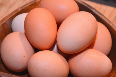 The outbreak was traced to a farm in North Carolina owned by Rose Acre Farms of Seymour, Indiana, which is said to be the second largest egg producer in the US. Photo: Chris McCullough