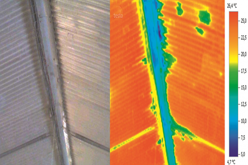 Roof mould