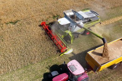 A large share of Cherkizovo s profit growth came from its grain business, where volume growth was driven by yield improvements. Photo: Henk Riswick