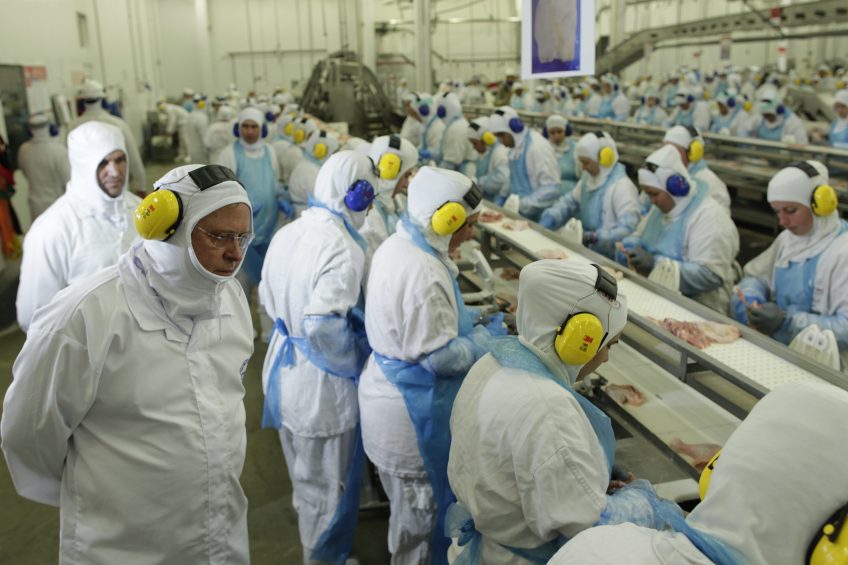 China hits Brazil s poultry with anti-dumping deposits. Photo: ANP