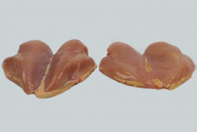 Reduce woody breast and white striping with dietary approach. Photo: Dr Casey M Owens