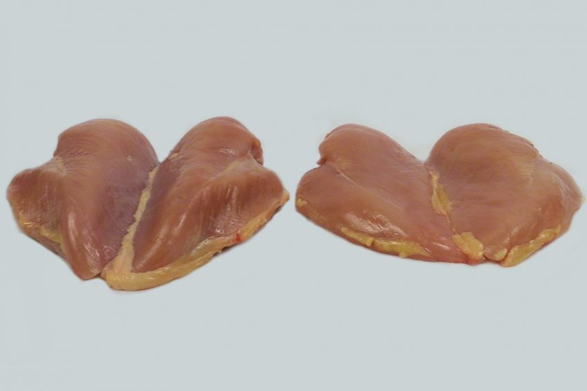 Reduce woody breast and white striping with dietary approach. Photo: Dr Casey M Owens