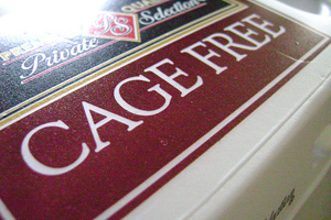 Cage-free farming on the rise in India