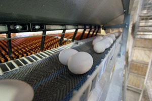 New VolMaxx enriched colony housing completed in France