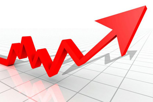 Poultry prices on the rise in Ukraine