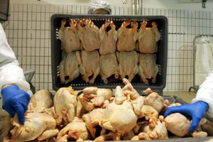 MHP sells more poultry at higher price