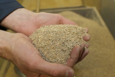 Potential shortage of poultry feed following German blaze.